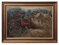 AR BERESFORD HILL (20TH CENTURY) Pheasant in undergrowth oil on canvas, signed lower right 52 x