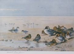 ARCHIBALD THORBURN (1860-1935) Pintail, Teal and Widgeon on the seashore coloured print, published