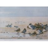 ARCHIBALD THORBURN (1860-1935) Pintail, Teal and Widgeon on the seashore coloured print, published