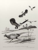 AR ROBERT GILLMOR (born 1936) "The Lapwing - title page illustration from The Lapwing by Michael
