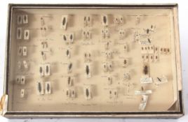 Group of five glass topped collector's cases containing a selection of named beetles, ladybirds etc,