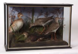 Taxidermy cased group of two Redshank and two Little Grebe in naturalistic setting 34 x 50cms