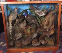 Taxidermy cased group of Continental Pheasants, Woodcock etc in naturalistic setting with Flying