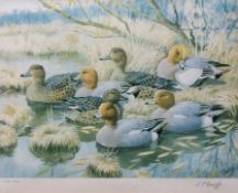 AR CHARLES FREDERICK TUNNICLIFFE (1901-1979) Widgeon coloured print, signed and numbered 236/300