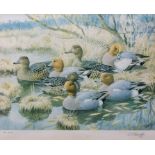 AR CHARLES FREDERICK TUNNICLIFFE (1901-1979) Widgeon coloured print, signed and numbered 236/300