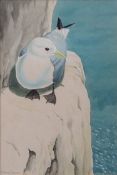 AR ROBERT GILLMOR (born 1936) "Kittiwake" watercolour, signed lower left 20 x 14cms Provenance: