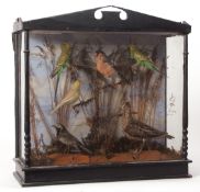 Taxidermy cased group of Budgerigars (2), Bullfinch, Snipe, Wagtail and Yellow Wagtail in