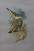 AR RAYMOND C WATSON (1935-1994) "Greenfinches" watercolour, signed lower right 34 x 22cms