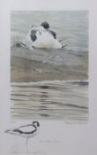 AR ROBERT GILLMOR (born 1936) Avocet coloured print, signed, numbered 54/350 and inscribed with