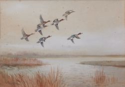 AR ROLAND GREEN (1896-1972) Teal alighting watercolour, signed lower left 24 x 34cms