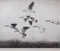 AR SIR PETER MARKHAM SCOTT, CH, CBE, FRS, FZS (1909-1989) Geese in flight black and white etching,