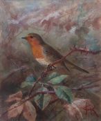 JOHANNES GERARDUS KEULEMANS (1842-1912) "Robin" watercolour, monogrammed lower right 23 x 19cms