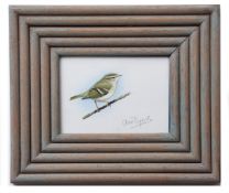 AR CLIVE BYERS (CONTEMPORARY) "Yellow browed Warbler" watercolour, signed lower right 12 x 17cms