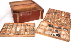 Wooden box containing very interesting collection of fossils including Elaterite, Mountain limestone
