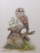 AR BRIAN BEDFORD (20TH CENTURY) Owl on a stump watercolour, signed lower right 60 x 45cms