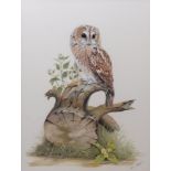 AR BRIAN BEDFORD (20TH CENTURY) Owl on a stump watercolour, signed lower right 60 x 45cms