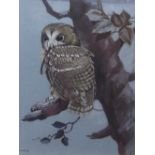 AR FRANK JARVIS (20TH CENTURY) "Tawny owl" watercolour and gouache, signed and dated '98 lower