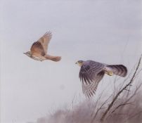 AR ROGER MCPHAIL (born 1953) Sparrowhawk watercolour, signed lower right 26 x 29cms Provenance: