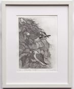 URSULA KIT PRICE MOSS (CONTEMPORARY) "Kittiwake Cliff" drypoint etching, signed, numbered 1/6 and