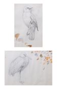 AR DAVID MORRISON HENRY (1919-1977) Bird studies two pencil drawings 17 x 12cms and 19 x 26cms (2)