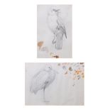 AR DAVID MORRISON HENRY (1919-1977) Bird studies two pencil drawings 17 x 12cms and 19 x 26cms (2)