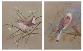 BARRY E WARD (20TH CENTURY) "Kestrel" and "Wren" two watercolours, both signed and dated 1976 and
