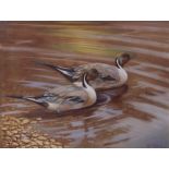 AR ERIC MEADE KING (1911-1987) Pintails watercolour, signed lower right 36 x 47cms