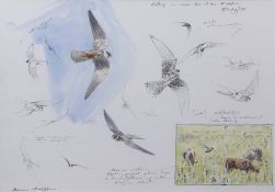 AR BRUCE PEARSON (CONTEMPORARY) "Hobby over Burnham Marshes 9/July/98" pencil and watercolour,