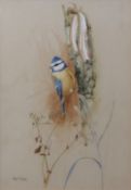 AR REX GRATTAN FLOOD (1928-2009) Blue Tit watercolour, signed lower left 33 x 22cms