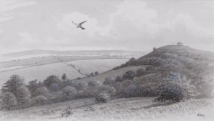 AR DONALD WATSON (1918-2005) Kestrel over the Downs monotone watercolour, initialled lower right