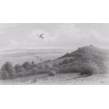 AR DONALD WATSON (1918-2005) Kestrel over the Downs monotone watercolour, initialled lower right