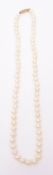 Cultured pearl necklace, a single row of uniform pearls (5mm) to a yellow metal clasp stamped 375,
