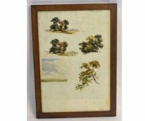 H Knight, dated 2/9/21, double sided page of tree studies in watercolour, 55 x 38cms, wooden framed