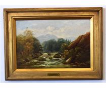 E Nevill, oil on canvas, Figure fishing from rocks, mountain river landscape, 29 x 44cms