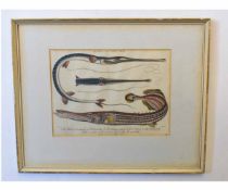 After M E Bloch, a group of five antique hand coloured book plates, Fish studies, various small