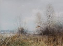 AR PETER METCALF (1944-2004) Pheasant in flight over Norfolk landscape watercolour, signed and dated