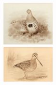 AR RICHARD ROBJENT (CONTEMPORARY) Partridges monotone watercolour, signed lower right 16 x 19cms