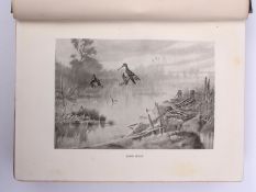 WILLIAM A DUTT: THE NORFOLK BROADS, illustrated Frank Southgate, London, 1903, 1st edition, 48