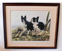 Steven Townsend, signed in pencil to margin, limited edition (15/675), coloured print, Two Collie