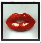 Contemporary School mixed media on Perspex, Hot Lips, 40 x 40cms