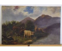 Indistinctly signed oil on canvas, Highland cattle in a landscape, 50 x 76cms, unframed