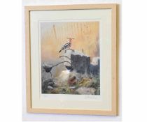 Steve Cale, signed in pencil to margin, limited edition coloured print, A Hoopoe bird on a