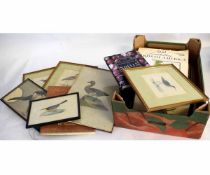 Box containing a quantity of antique coloured engravings, bird studies and botanical etc