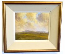 John O'Brien, signed oil on board, Irish landscape, 24 x 29cms