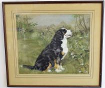Michelle Bennet Oates, signed and dated 1982, watercolour, Collie dog, 41 x 49cms