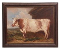 ENGLISH SCHOOL (19TH CENTURY) Bullock in landscape by a barn oil on canvas 45 x 58cms