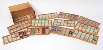 Early 20th century pine microscope slide case containing twelve trays in turn containing 71