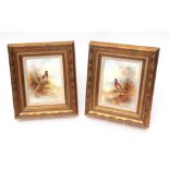 Pair of porcelain plaques painted by T G Abbotts, probably for Royal Grafton, decorated with
