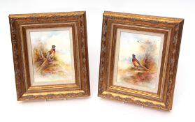 Pair of porcelain plaques painted by T G Abbotts, probably for Royal Grafton, decorated with