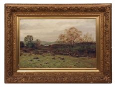 THOMAS H MCKAY (1874-1941) Sheep in Scottish landscape oil on canvas, signed lower left 50 x 75cms